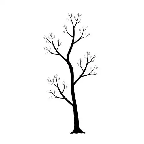 孤立的树木集手绘详细