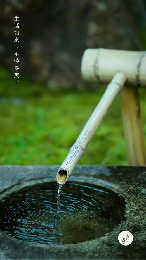 一日禅|生活如水,平淡最美