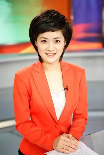 董丽萍央视主持人董丽萍个人资料简介照片图片cctv4