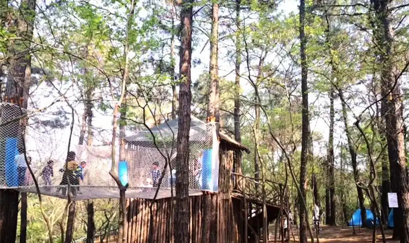 松鼠咔咔森林乐园