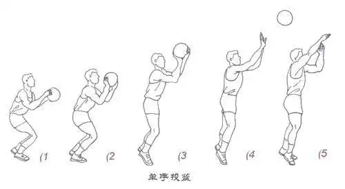 谁能给我一张标准投篮的分解图片?