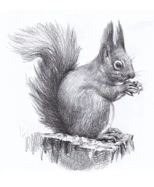 素材丨一组简单又有趣的动物素描