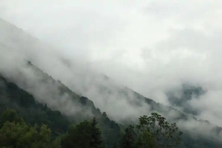 云雾缭绕满山间(图片文字原创)