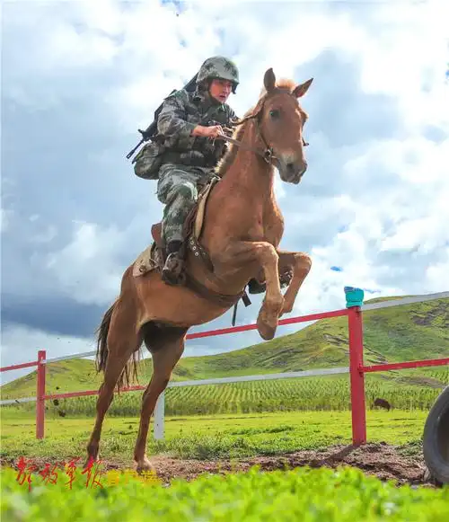 快看,骑兵大片"乘风"来袭!