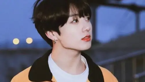 橙光 素材 bts 田柾国 小说 人物素材