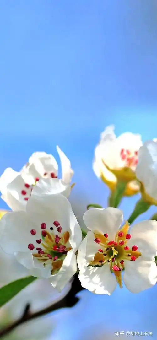 冷色调的紫色高清手机壁纸 - 知乎