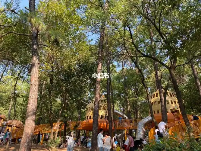 武汉落雁景区松鼠乐园真的值得一来,门票便宜,就是堵车人多,但是很