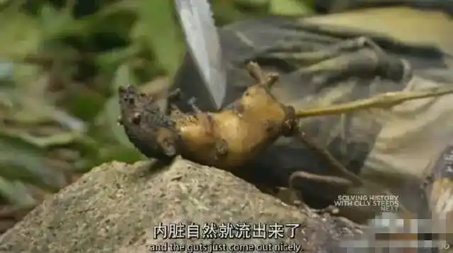 地点:中国  在中国的这一集,贝爷的陷阱压扁了一只老鼠,于是直接连毛