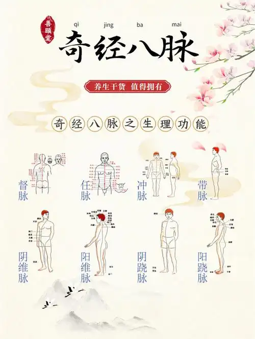 养生干货奇经八脉之生理功能介绍