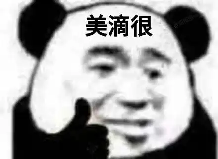 呼呼呼大飞机拍死你丫的熊猫头拿小飞机表情包