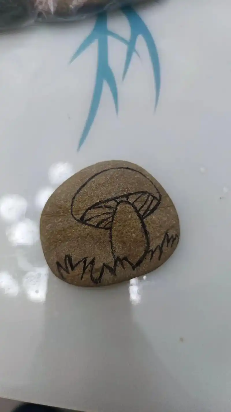 创意石头画,简单又有趣,快去捡石头吧 「儿童画」「创意美术」 - 抖音