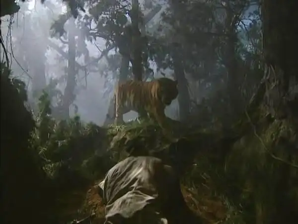 最真实的莫过于"武松打虎",饰演"武松"的演员叫丁海峰,身上天生自带狠