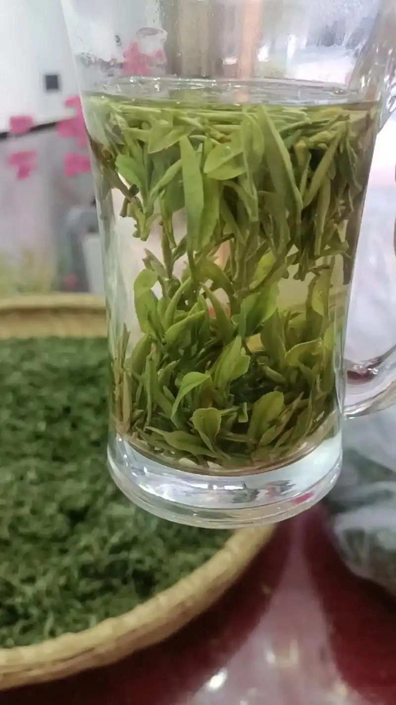 粉友们下午好,这是刚开泡的舒城兰花茶,好.喝不贯200一斤, - 抖音