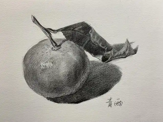 素描静物入门教程桔子示范青雨素描系列课