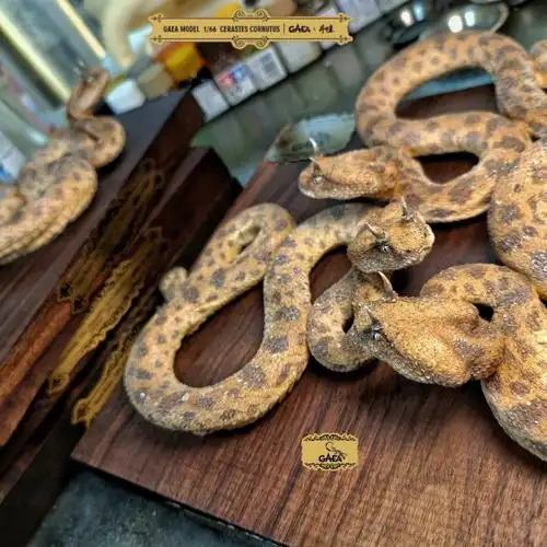 长角的蛇是真实存在的不是幻想生物哦