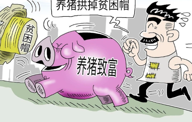 "金猪"行情再现,2省破"20元"!养猪人:不要停