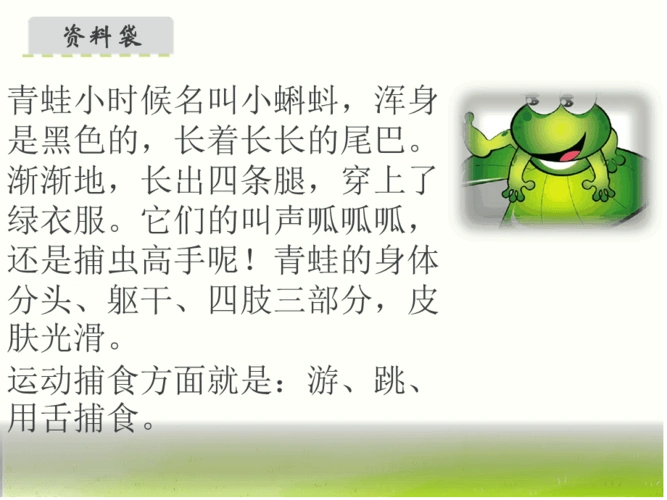 部编版小青蛙课件6