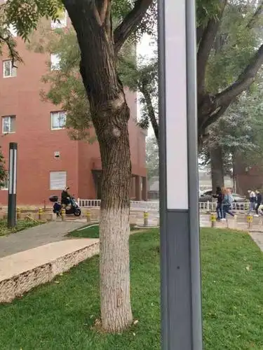 北京外国语大学西校区