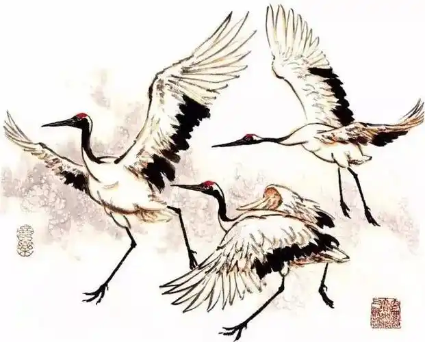 丹顶鹤写意画法,总结的太全面了,点赞收藏