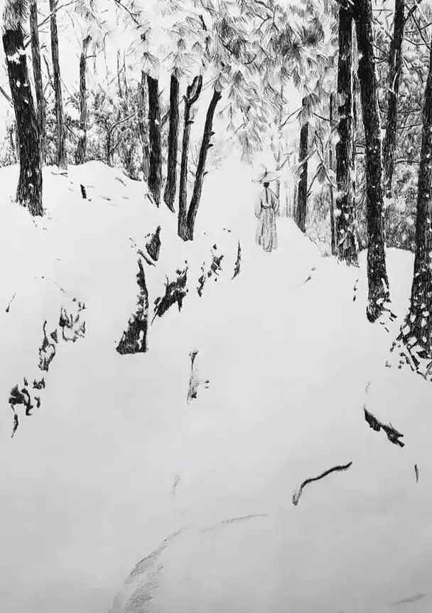 图文伙伴计划 钢笔画最大的魅力在于一个"静"字,冷静地思考 - 抖音