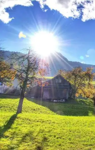 评论 分享 微信扫一扫 新浪微博 qq空间 举报收起