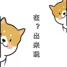 便利 狗 约吗 出来玩 表情包