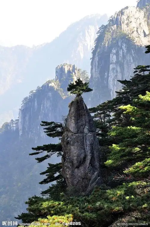 有趣的黄山奇石