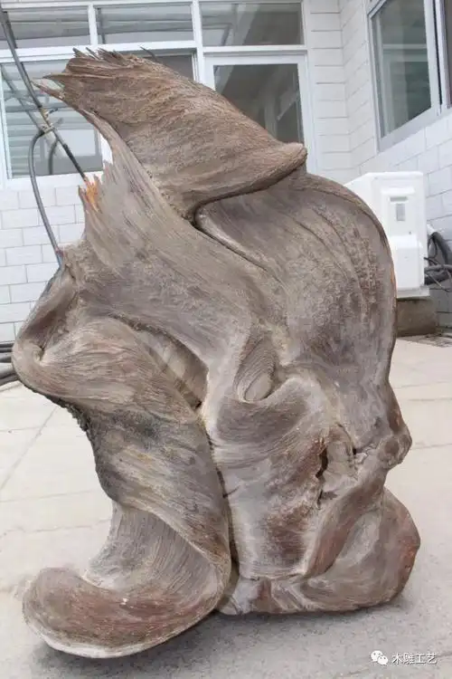 3万买的崖柏两年时间涨到120万!