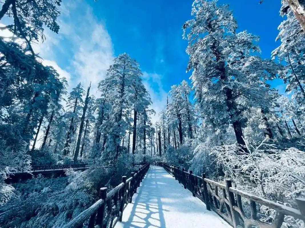 瓦屋山,一个充满神秘色彩的地方,位于四川省眉山市洪雅县境内.