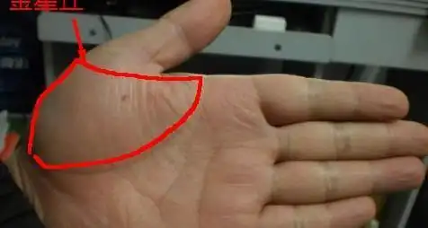 在手相学中,一个人的手相包含着很多东西,包括人的事业,婚姻,财运等等