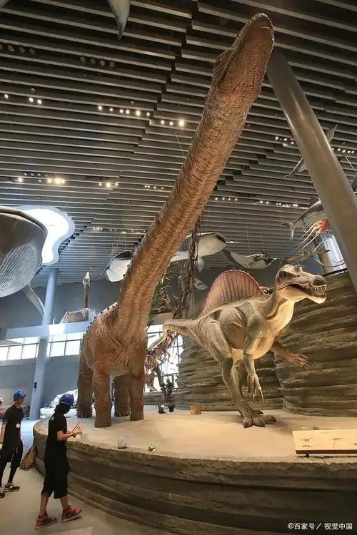 探秘自贡恐龙博物馆:恐龙奇观与精彩之旅