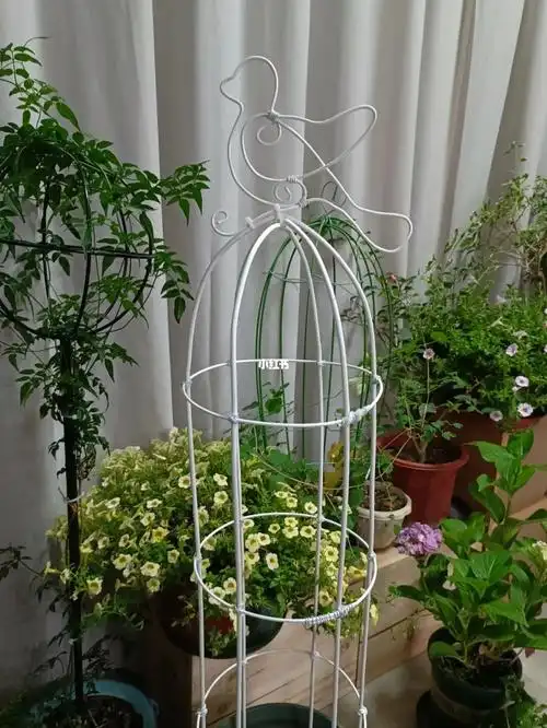 自制铁艺花架(小鸟爬藤架,月亮挂篮)