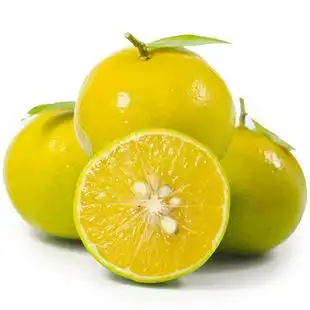 广西皇帝柑贡柑 单果90-150g 新鲜水果批发微商代理一件代发