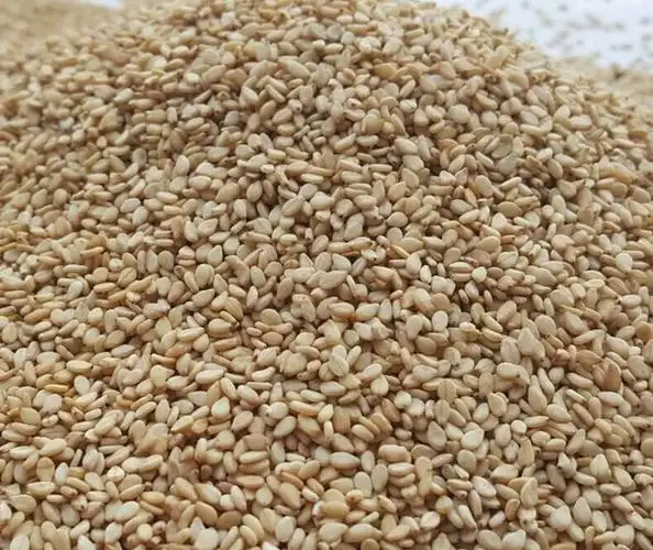 【埃塞俄比亚芝麻进口清关和苏丹芝麻进口清关,青岛进口报关公司】_青