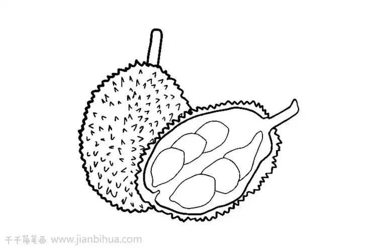 榴莲简笔画教程
