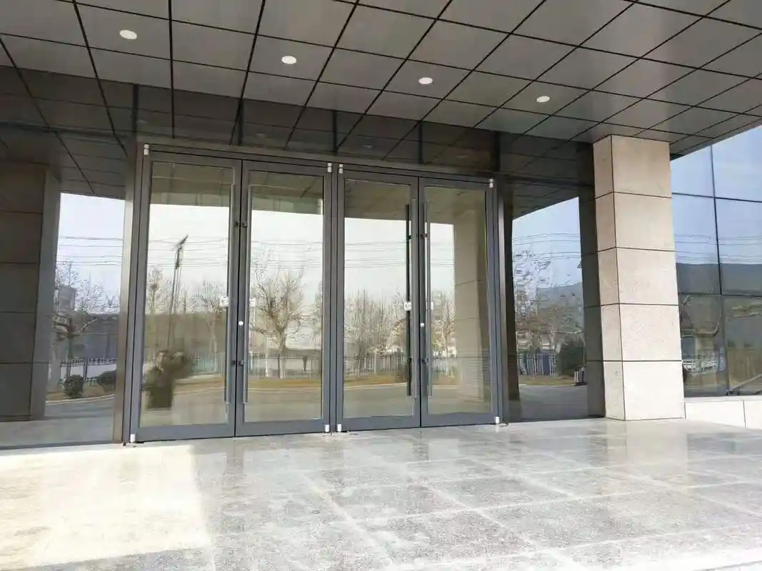 地弹门 金玛龙地弹门 双开单开地弹门定做 焊接的铝合金地弹门