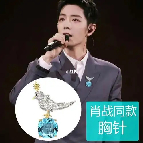 肖战同款石上鸟胸针