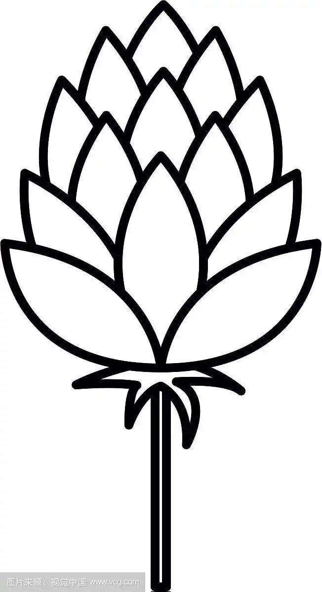 美丽的松果孤立图标