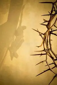 手工制作戴着荆棘冠冕的耶稣基督荆棘的冠冕表示耶稣被钉十字架受难