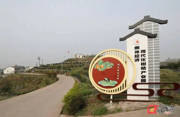 从落后村到乡村振兴示范村的蜕变走进富顺县骑龙镇大田村