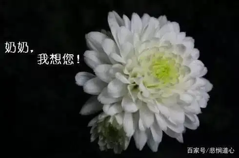思念缅怀天堂里的奶奶