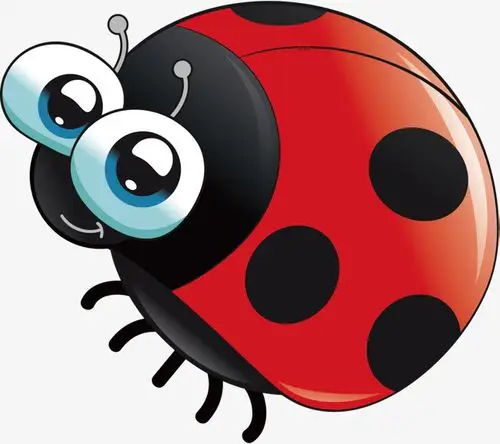 矢量图矢量图可爱的瓢虫