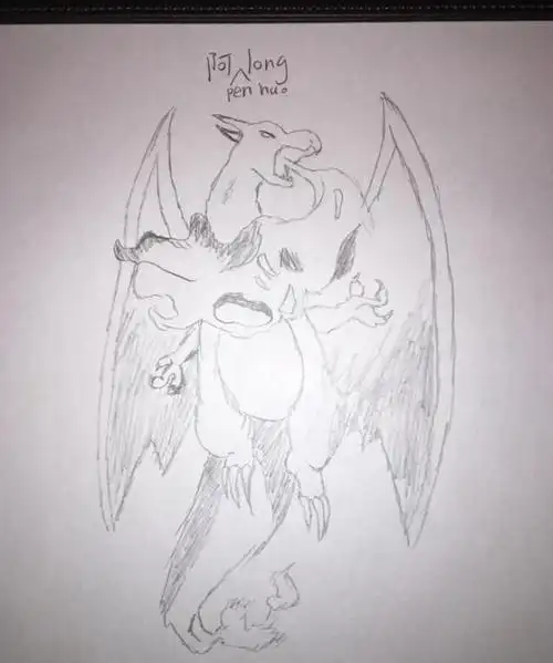 傅园慧手绘的喷火龙