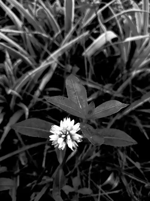 灰色- 堆糖,美图壁纸兴趣社区