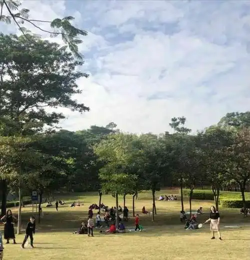 松岗公园-"位置:宝安区松岗麒麟山. 交通:附近5."-大众点评移动版