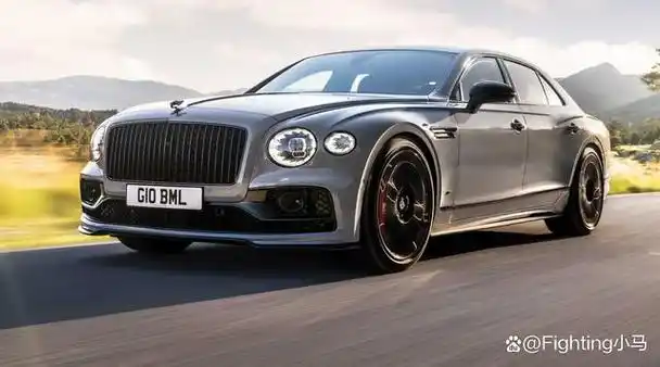 当今世界排名前十的豪华大型轿车,第一名纯国产豪车!