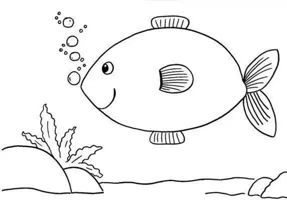 鱼的图片简笔画 画鱼的图片简单又好看