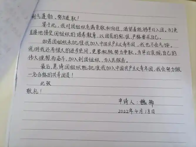 入党申请书下载(入党申请书电子版)-野火软件网