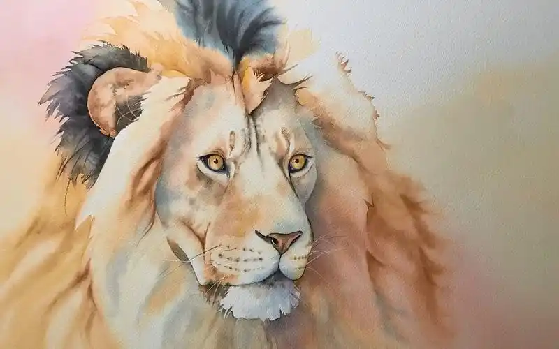 水彩狮子水彩技法讲解