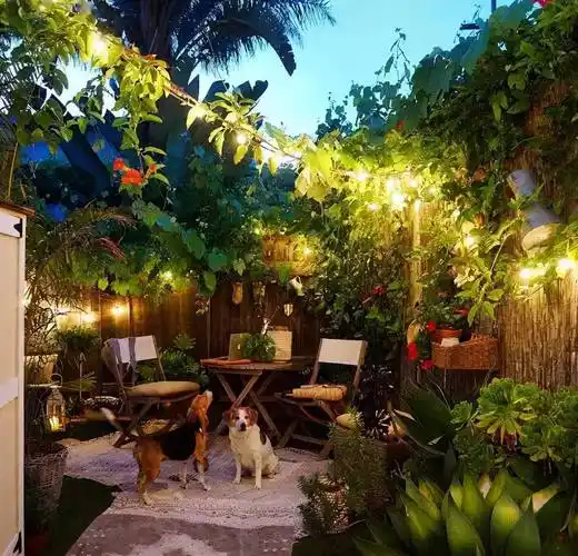 26个乡村"庭院小花园",网友直呼:我要回农村建园子